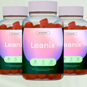 Leanix